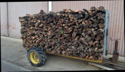 Brennholz hart