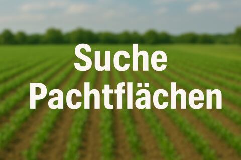 Suche Pachtflächen