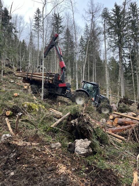 Forstanhänger John Deere/ProJernač