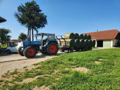 Eicher gesucht