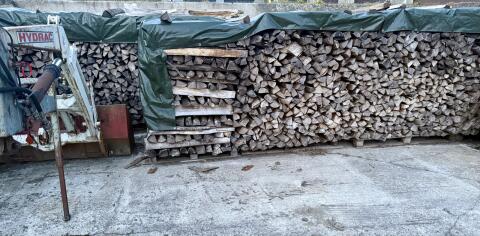 Brennholz, Hartholz, Kaminholz