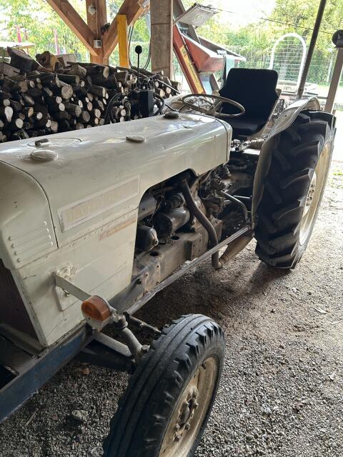 David Brown 770 Schmalspur