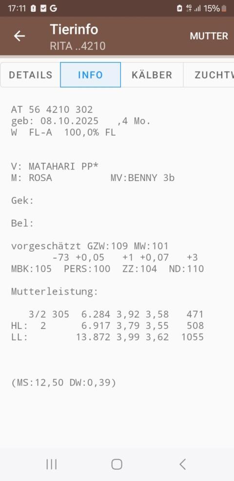 Bio Heumilchbetrieb Zuchtkalb
