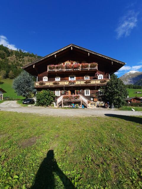 Suche Noriker