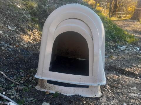 Kälberiglu