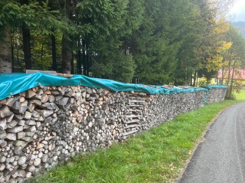Brennholz