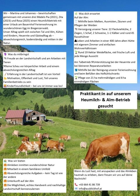 Praktikant:in auf unserem Heumilch- & Alm-Betrieb gesucht