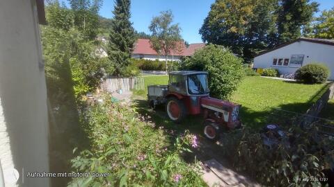 Tausche Traktor gegen Ape 50 Mofa