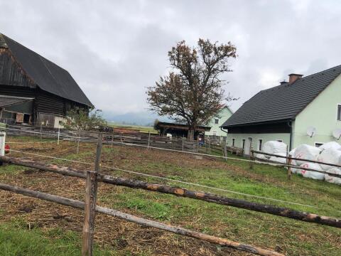 Landwirtschaftliche Liegenschaft in 8733 Altendorf 5