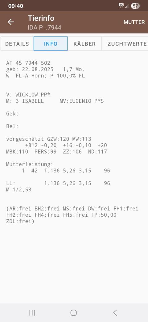 Zuchtkalb