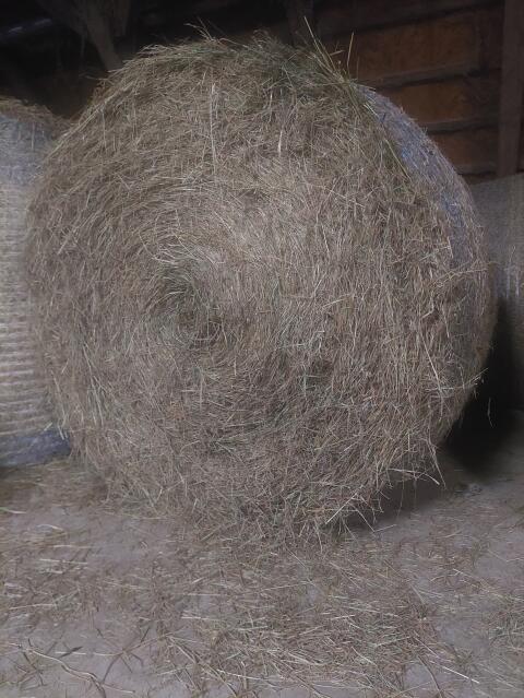 Heu Rundballen