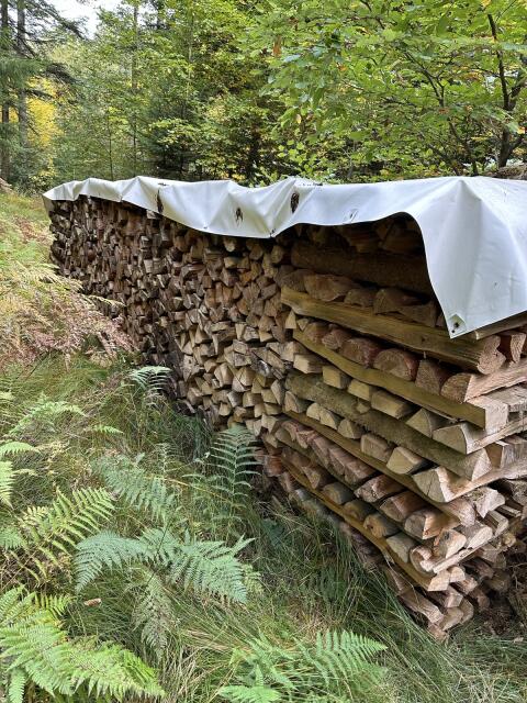Brennholz