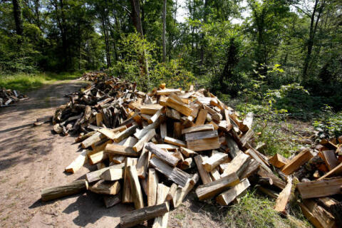 Brennholz - Weichholz, Ofenfertig, Zustellung