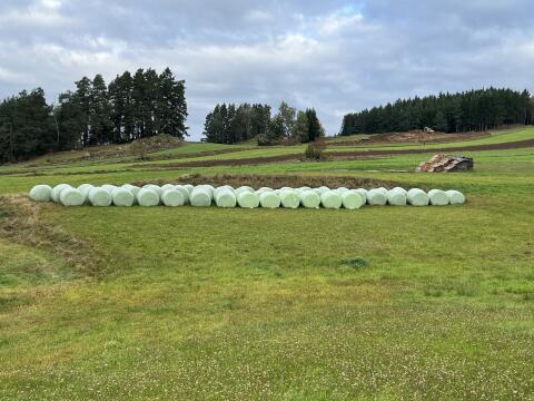 Silo Rundballen Bio 2025