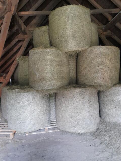 Top Heuballen