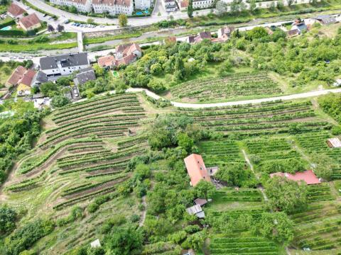 Weingarten/Freizeitgrund im Kremser Stadtgebiet!