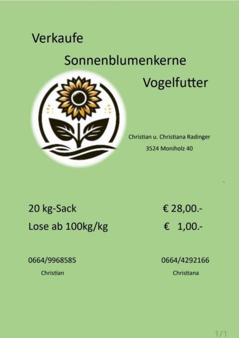 Sonnenblumenkerne