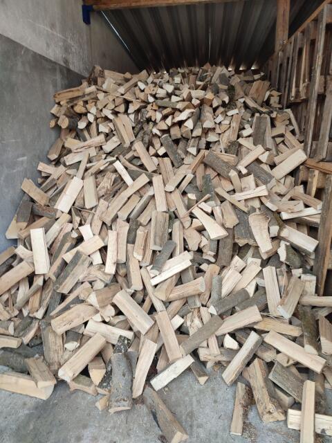 Brennholz hart Esche trocken