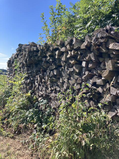Brennholz