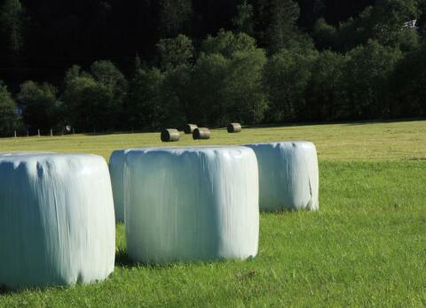 Gärheuballen