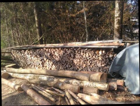 Brennholz