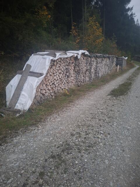 Brennholz