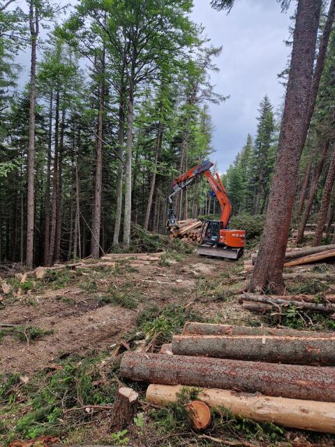 Verkaufe Bagger Prozessor Hitachi 225