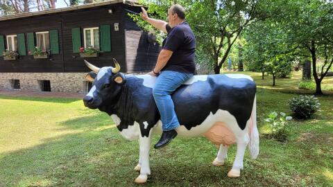 Kühe von der Alm / 3D Kuh &. Kalb - Modelle lebensgroß