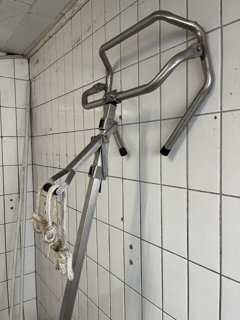 Geburtshelfer für Rinder/Kühe