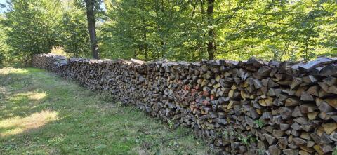 Buchenbrennholz