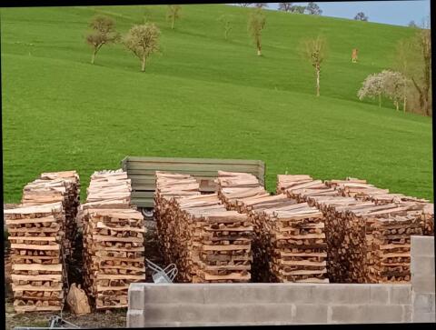 Brennholz