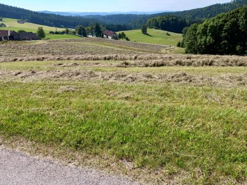 Heuballen