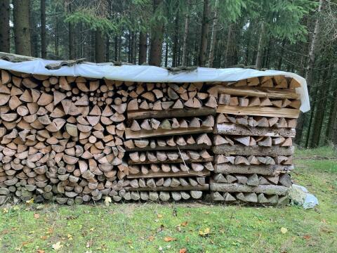 Brennholz