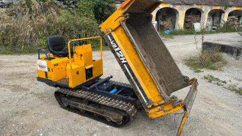 Raupentransporter Raupendumper