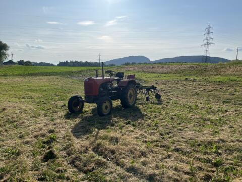 Würde mich von meinem treuen Steyr T84E trennen