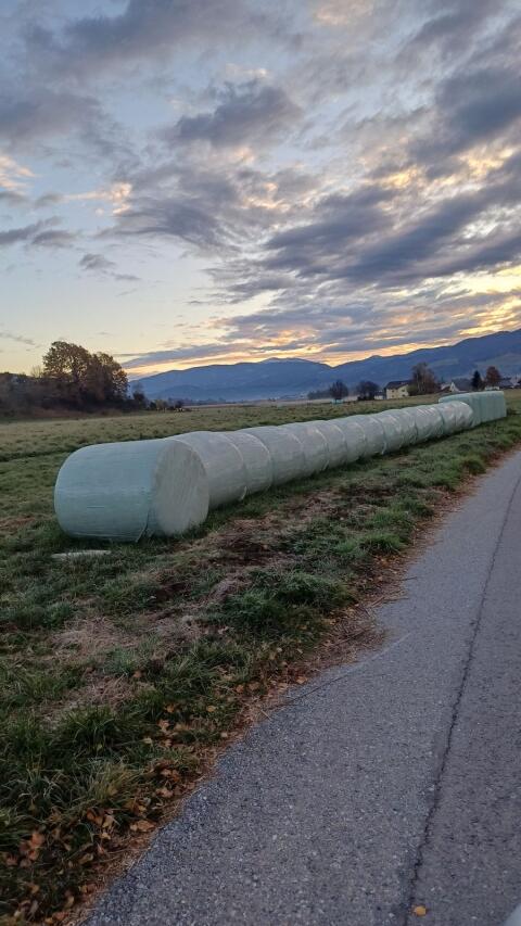 Maisballen