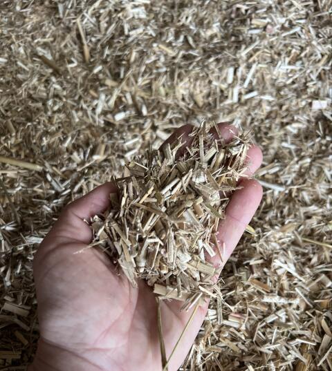 Miscanthus Einstreu Rundballen