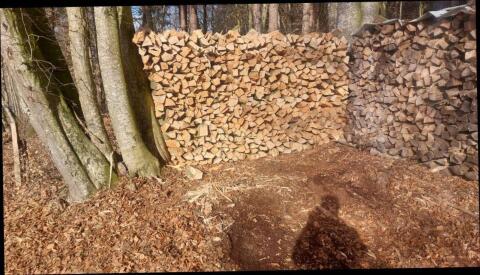 Buchenholz, Brennholz, Hartholz