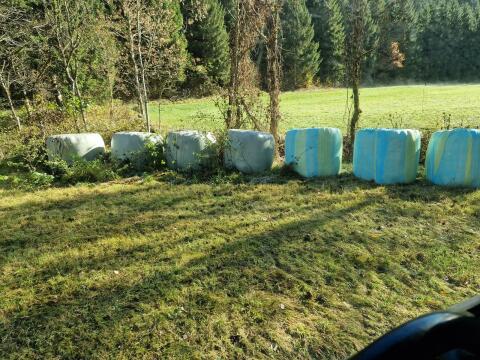 Silageballen