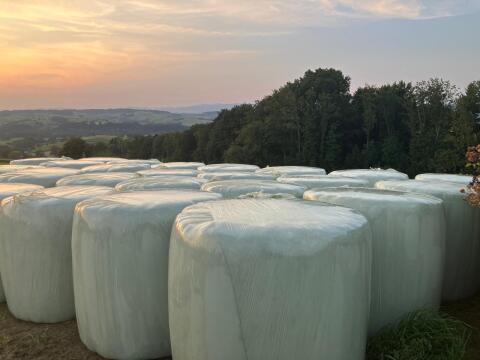 Silageballen