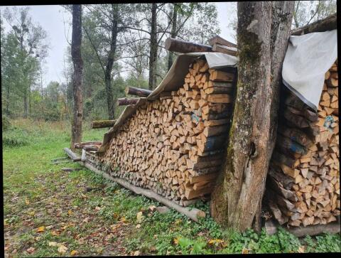 Brennholz