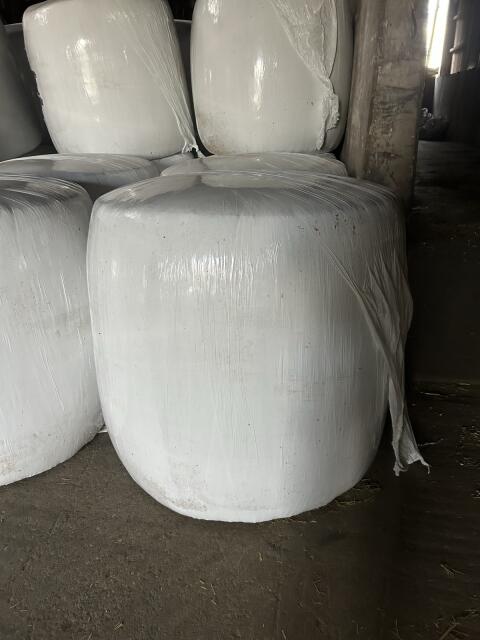 Bio-Maisballen