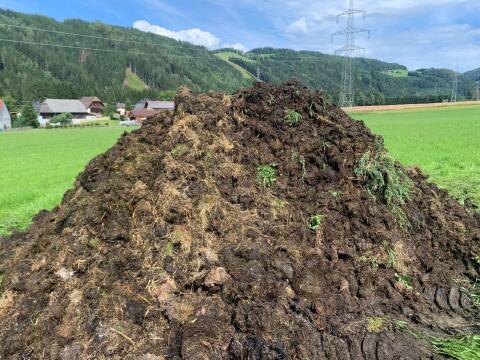 Suche Wirtschaftsdünger (Mist)
