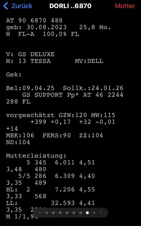 Bio Zuchtkalbin