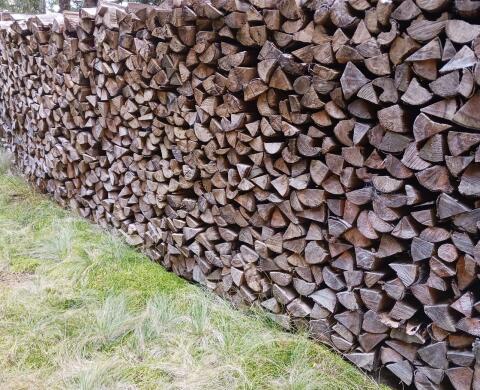 Brennholz Fichte