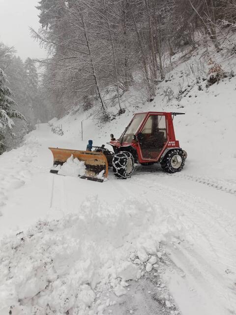 Schneepflug Hauer