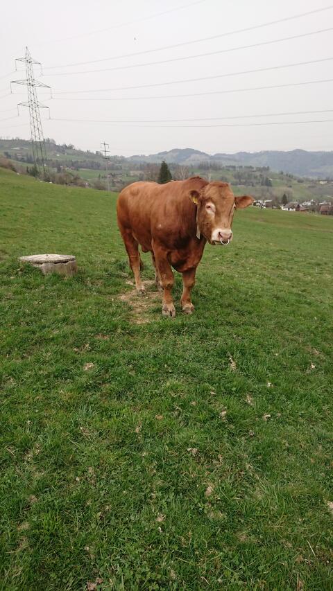 Landwirtschaftlicher Mitarbeiter