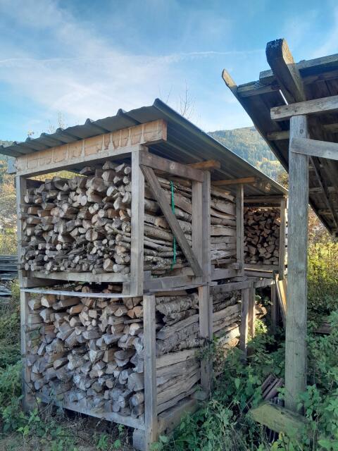 Brennholz Esche und Fichte