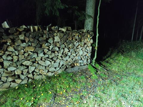 Buchenscheiter trocken