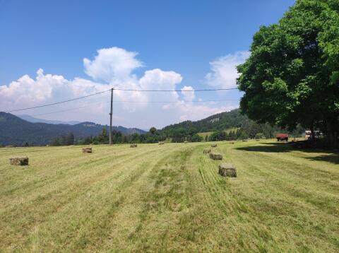 Heu in Kleinballen